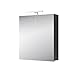 Produktbild Planetmöbel Merkur Spiegelschrank Bad mit Beleuchtung 60 cm breit | Badschrank hängend mit Spiegel | Chrom LED Beleuchtung | Anthrazit