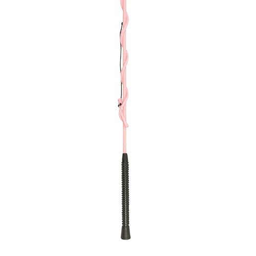 Dublin Lunge Whip Pink 64
