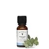 Retterspitz Erkältungstropfen Spar-Set 2x20ml. Der Klassiker gegen Erkältungskrankheiten mit der befreienden Wirkung des…