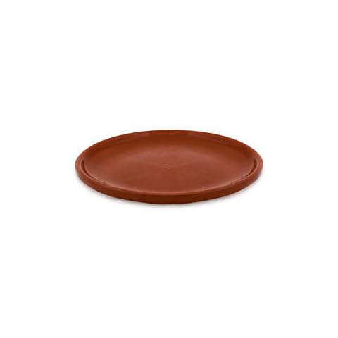 Raimundo Sanchez Plato De Barro 26 Cm Miel Cover