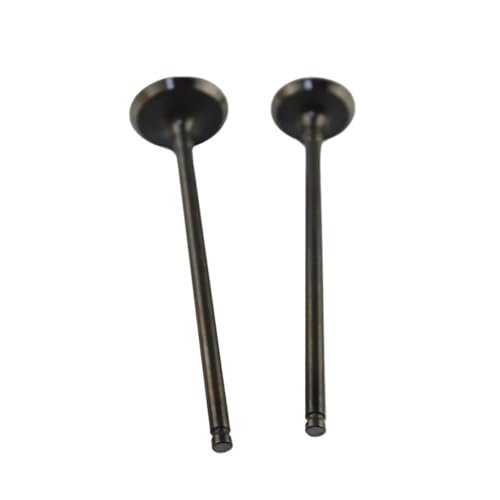 Válvula de motor de admisión y escape ZZR400 compatible con ZZ-R500 4