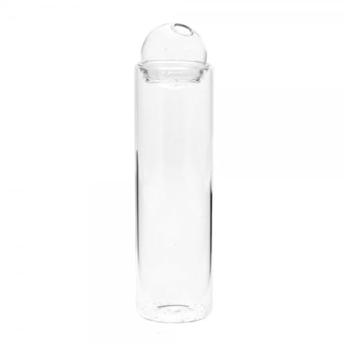 Storefactory - Vase, vase à fleurs séchées - SJÖÅS - Verre - Couleur: Clair - Large - (Ø x H) 6 x 23 cm