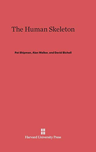 The Human Skeleton view 2