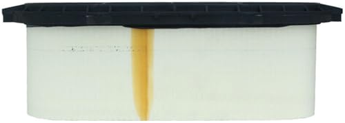 ACDelco GM Original Equipment A3077C (15776148) Air Filter