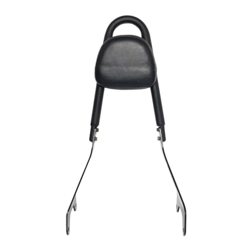 Dossier passager moto et porte-bagages pour XVS950 14-17 voyagez confortablement à deux en custom