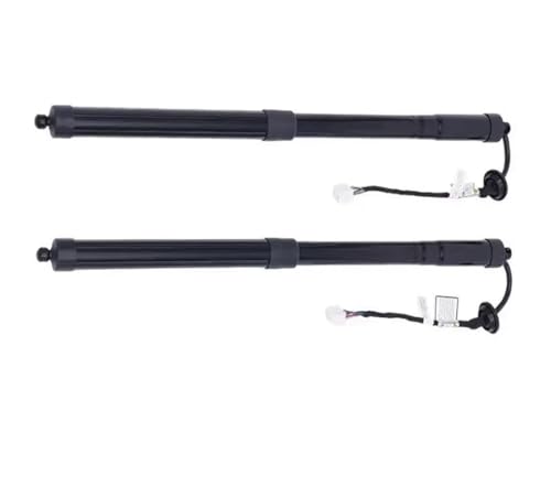Support hayon électrique Nissan X-Trail Rogue amortisseur coffre automatique 905614CL2A