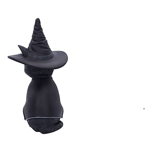 Chat sorcière Purrah Nemesis Now statuette mystique pour décor de salon