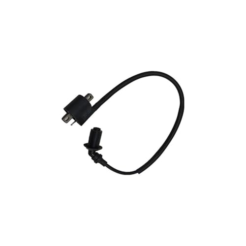Bobine d'allumage 0180-152000 robuste pour moteur CF Moto CF188 ATV