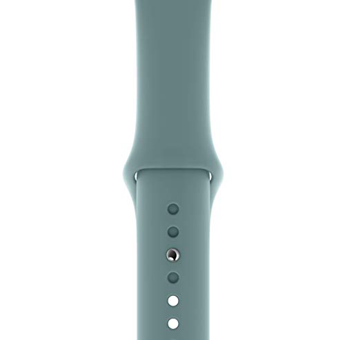 Image of Apple Watch Sport Band (40mm) - Cactus - Regular