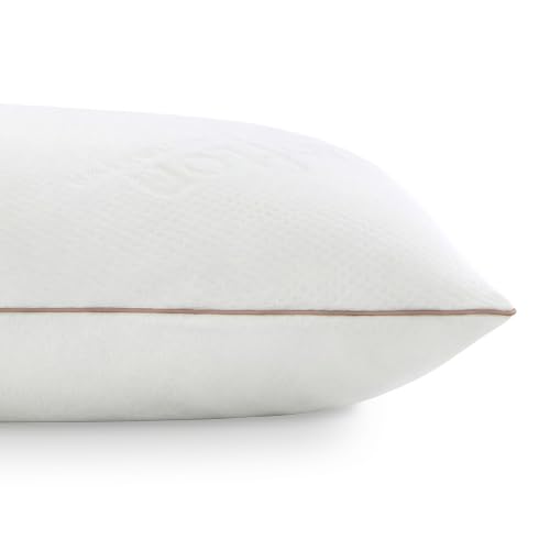 Lofton by Saatva Shredded Foam Pillow