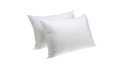 best cushion inserts