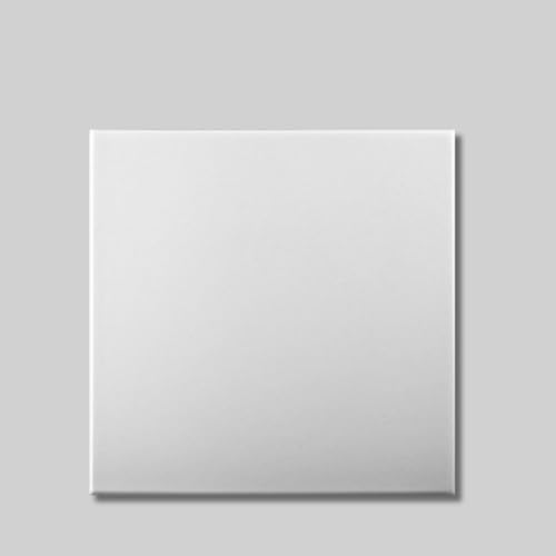 Decorative Ceiling and Wall Panels 2m2 (21.52 sqft) - 8 Panels (White Blank)