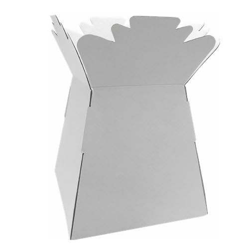 Inerra Florist Boxes - Pack of 2 - Living Vase for Flowers, Hand Tied Bouquet Box Making (White)