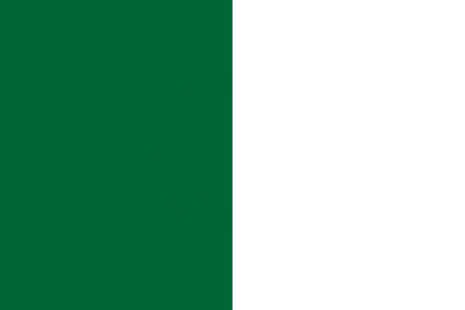 Drapeau Algérie sans croissant grand pavillon paysage aux finitions premium