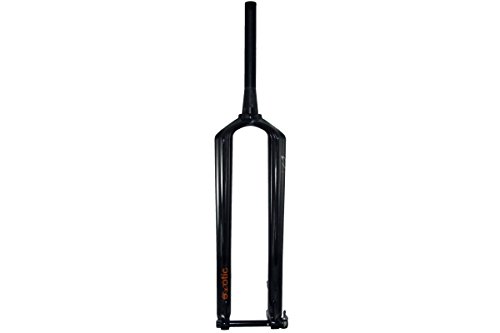 What is a single crown fork