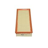 PURFLUX Air Filter A1473