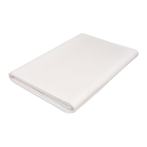 Papier Xuan blanc Anneome anti-bavure pour corriger les défauts d'absorption en peinture chinoise