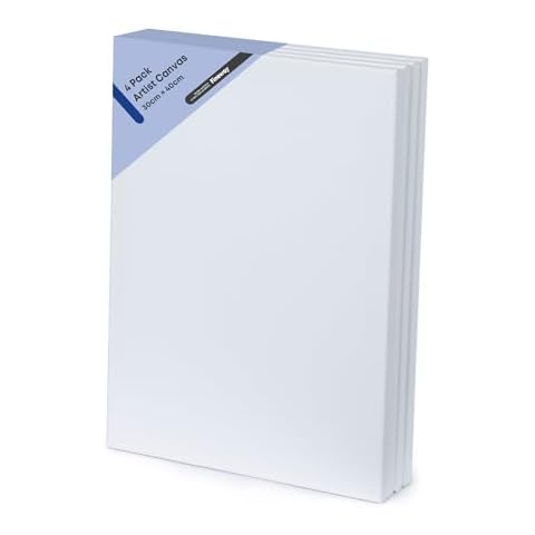 Fineway Pack of 4 Artist Canvases 30cm X 40cm Cover