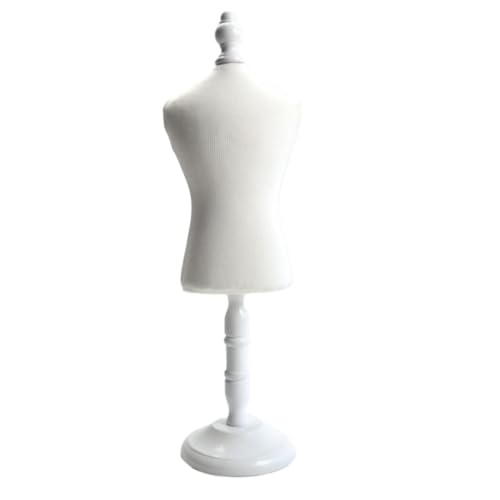 Emidor ~j}lLfBXvCX^hA^V[AٖDAdėp̃ybg}lLX^h (1,zCg)