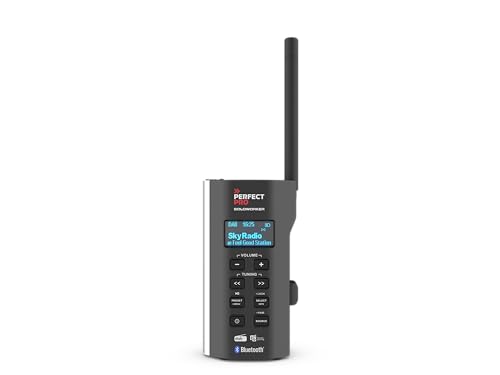 PerfectPro Baustellenradio SOLOWORKER, DAB+ und UKW Empfang, Bluetooth, AUX-Eingang, Inklusive Ladegerät und Lithium-Akku, Sehr Kompaktes Radio, IP64, SWBT2