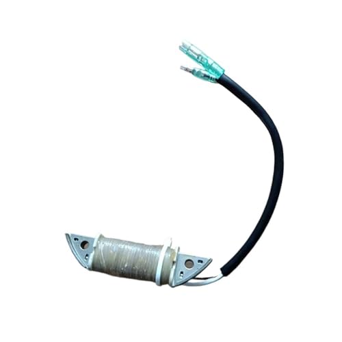Bobine de moteur de bateau hors-bord 2 temps 5,8 à 6 CV