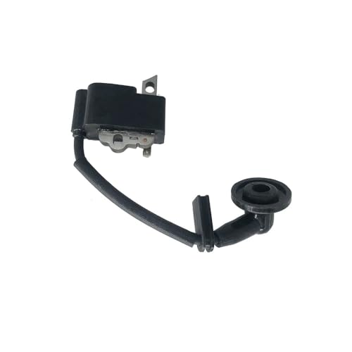 Bobina de encendido para solucionar fallos de arranque en PS 350 2