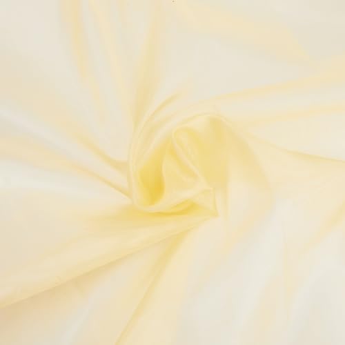 SUPERFINDINGS Corsé de 1 m de malla de nailon y encaje en la cintura, corsé precortado, 1,49 m de ancho, corsé elástico de tela para vestido de costura, corsé transparente Power Corsé (desnudo claro)