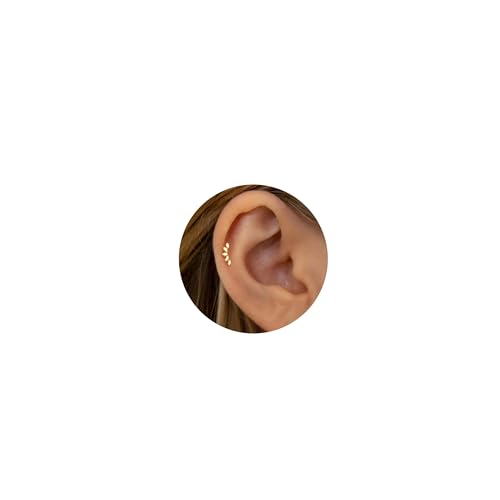 NONTAI Dainty Climber Stud Earrings Titanium 16G Flat Back Earrings Threadless Cartilage Tragus Conch Piercing Helix Stud