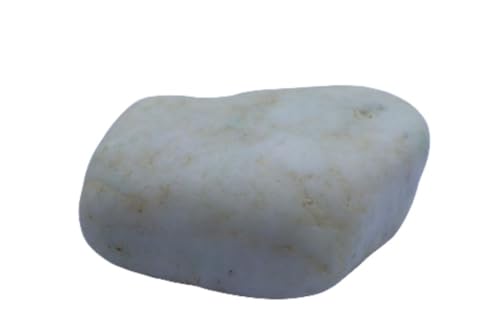 Ő24ЂqXCdʃWF_Cg