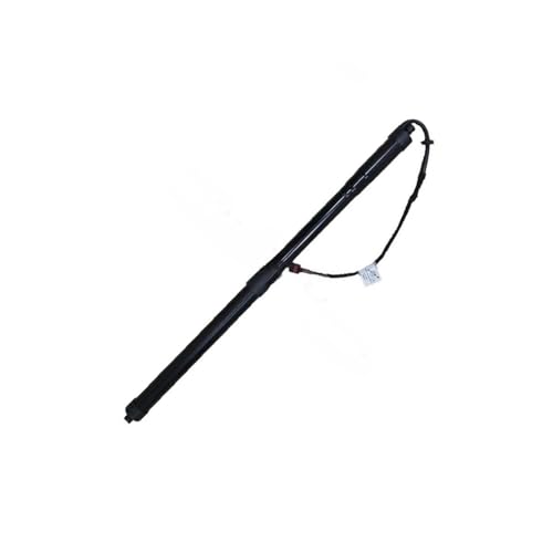 Support de hayon électrique Range Rover 2013 vérin coffre LR104910 306DT