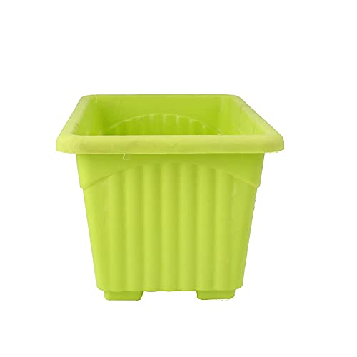 Bianco Rectangular Plastic Pots for Plants, Jupiter Flower Pots for Home, Window Display, Garden (35 x 18.5 x 15 cm) (Green) (Pack of 3)
