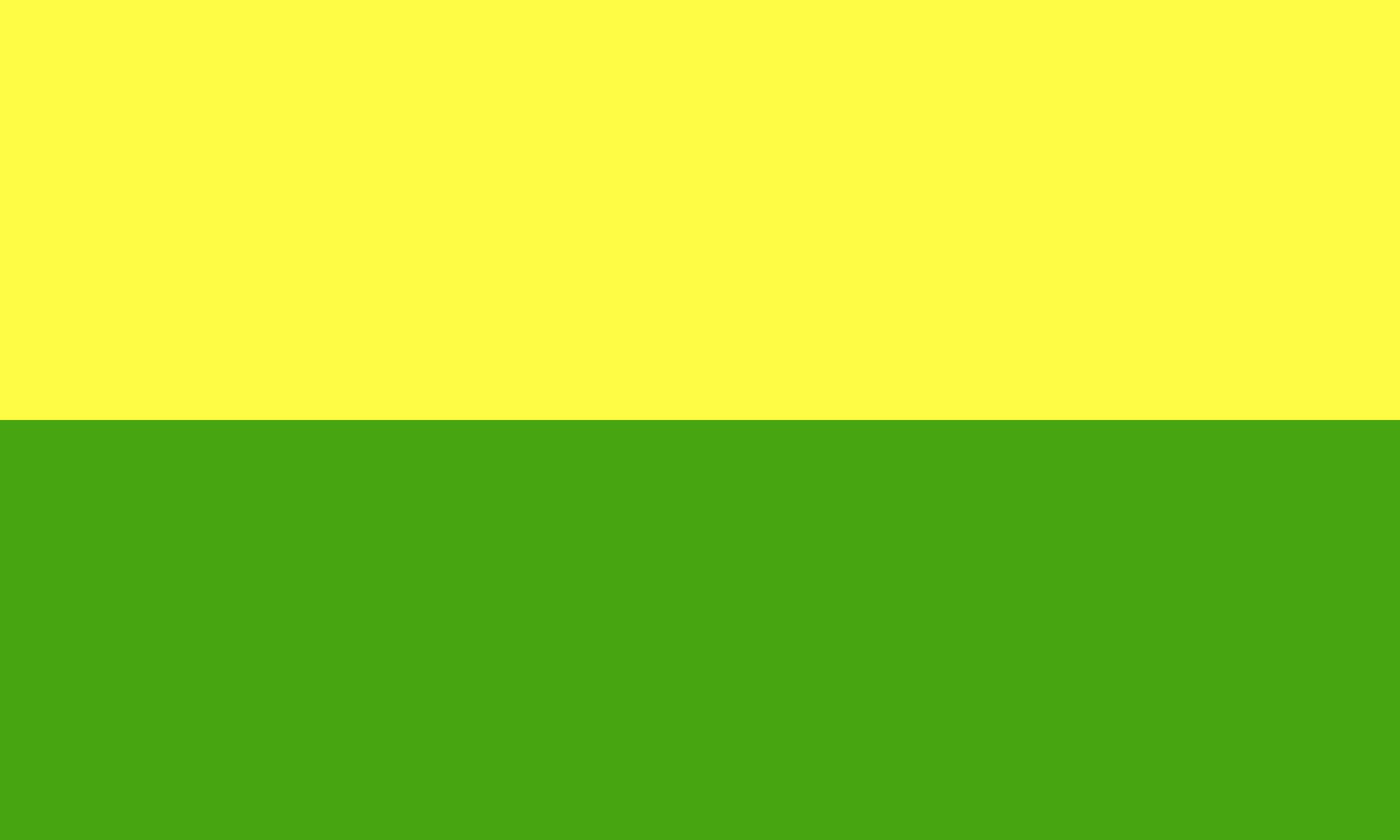 Drapeau Large Cañas Cantón Acosta idéal pour pavoiser vos événements culturels
