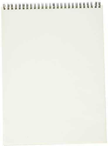 Canson Artist Series Mi-Teintes Pastel Paper, White, Wirebound Pad, 9x12 inches, 16 Sheets (98lb/160g) - Artist Paper for Adults and Students