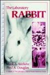 Laboratory Rabbit