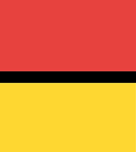 Drapeau révolutionnaire de Genève ancien grand format pavillon historique - 2