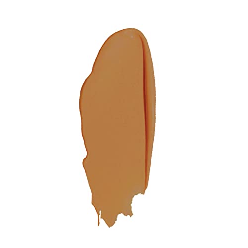 Idun Minerals Norrsken Foundation - 221 Ragnhild For Women 1 oz Foundation, Brown, 29.57 ml (Pack of 1) - Image 4