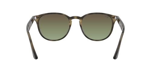 Ray-Ban Rb4259 Round Sunglasses4