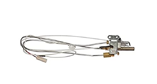 Amazon.com: Bradford White 2334807703 NAT GAS PILOT ASSY : Tools
