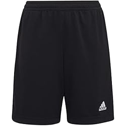 Ent22 TR Shoy - Shorts Unisex niños 5 adidas Entrada 22 Training Shorts, Unisex niños, Black, 164