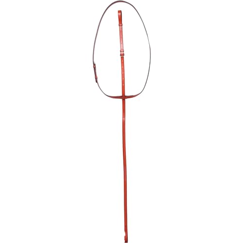 Vespucci Fancy Raised Stand Martingale Hrs OakBark