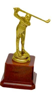 Sovereign Golf Trophy 6.5 inch-picture-12