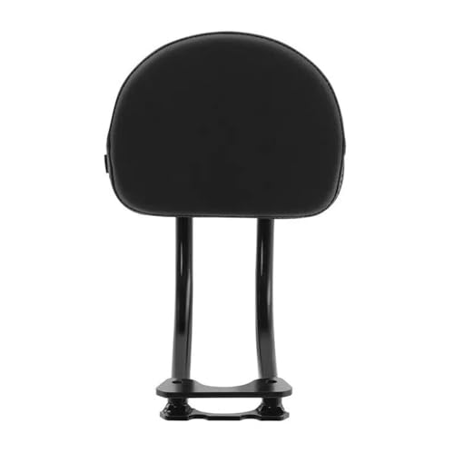 Dosseret de passager Sportster RH1250S en acier noir robuste et design épuré pour moto