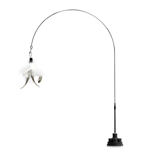 ͓IȃtFU[[VXeBbN̂|L̉H̏AL̏̂AL̃eB[U[h|C^NeBuȎqL̂́AzJbvjs\ȃybgpiłB