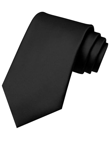 RBOCOTT Black Tie Mens Necktie for Business and Wedding Party(31)