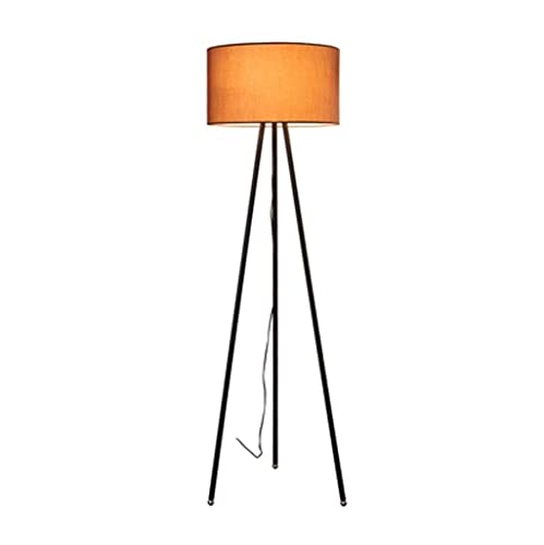 Lampadaire en fer moderne et élégant au style minimaliste chic