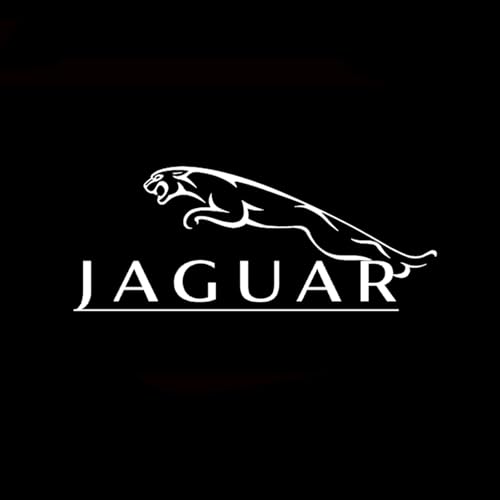 2�Z�b�g�ԗp�J�[�e�V�����v�ɓK�� �W���K�[ XFL 2020-2021 �h�A�E�F���J�����C�g�ԗp�h�A�����v�J�[�e�V���C�gLED���S���e,B [���s�A���i]