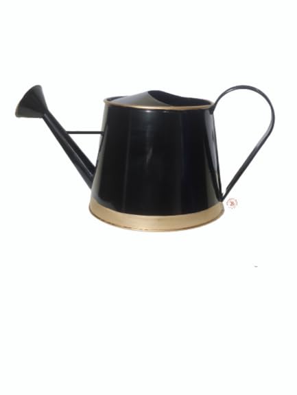 Brothers watering can 3 liters Metal planters Round Watering Can - Rust Free Home Decor Gifting, Gardening Tools (gold patti color black) (B0CBQRJL3B) Amazon Price History, Amazon Price Tracker