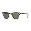 Red Havana/Crystal Green Polarized (990/58)