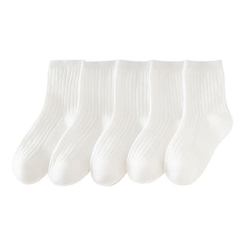 LbY \bNX q C 5Zbg n 12-22cm N[\bNX 9^Cv LbYC ̎q xr[ ۈ牀 ct w p (JP, At@xbg, M, zCgZbg)