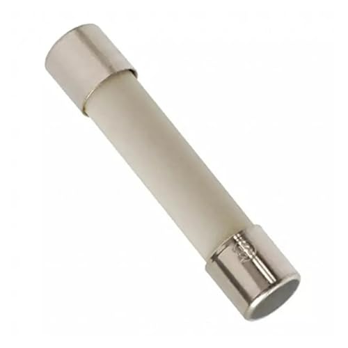 Fusibili a cartuccia con tubo in ceramica, fusibili di rete domestici in ceramica, confezione da 100, ampere assortiti, 0,5 A-30 A, 250 V, 6 x 30 mm.(25a)